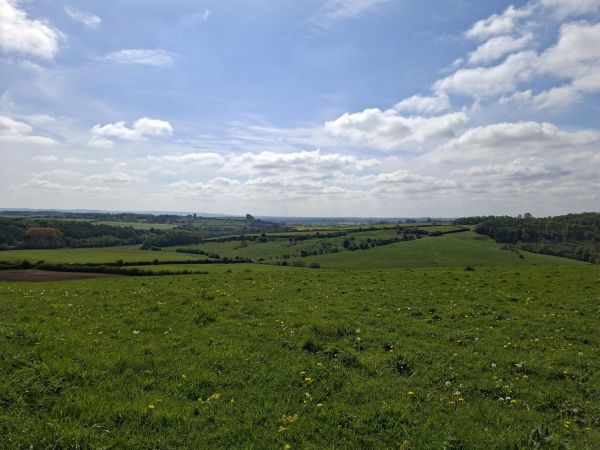 Picture of Terrington